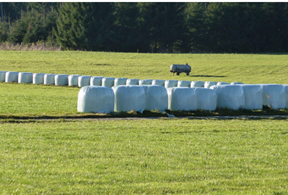 Bale Wrap for Oxygen Barrier Performance on Australian Coastal Acid Sulfate Soils