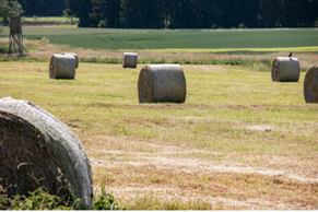 Net Wrap Water Shedding for High-Density Silage Bales in Wet Gippsland